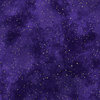 New Hue Metallic Purple/Gold