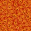 Melba - Flowering Gum Orange