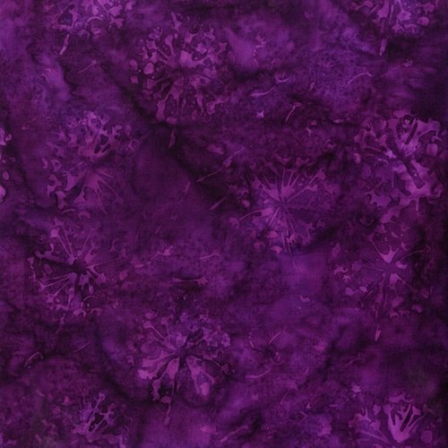 Purple Princess - Dandelion Plum