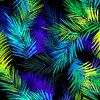 Tropical Breeze - Island Palm Leaves Black